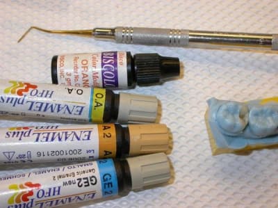 Resize of dscn0742 mpsvca - Eugenol