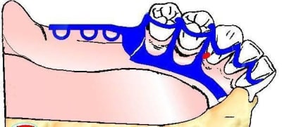 Sans titre kokbi1 - Eugenol
