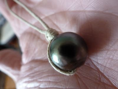 Ste lucie  shiva 007 vgkk0g - Eugenol