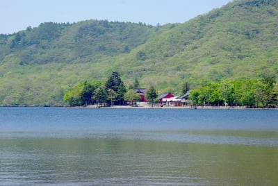 Tk  10  wmuy4d - Eugenol