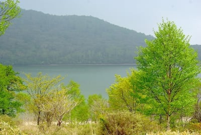 Tk  2  kdnd52 - Eugenol