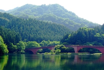 Tk  5  iccpfc - Eugenol