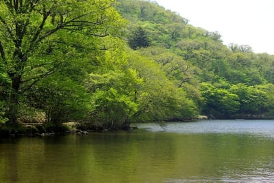 Tk  9  cvvkja - Eugenol