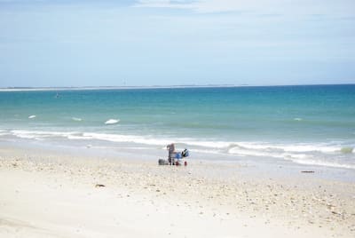 Tombolobeacha  5  zkljru - Eugenol