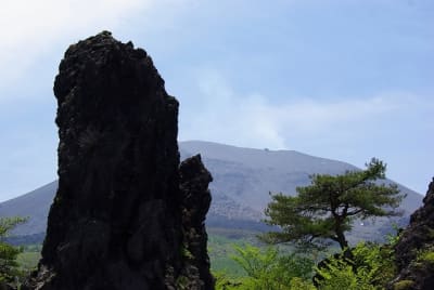 Zbt  10  twbah3 - Eugenol