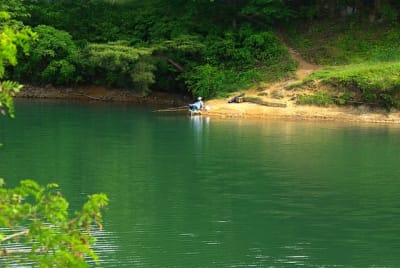 Zbt  5  ulqvke - Eugenol