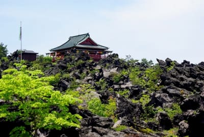 Zbt  7  uljbsk - Eugenol