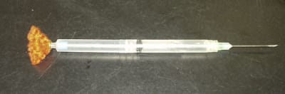 Anaesthesie pedo xw3oyh - Eugenol