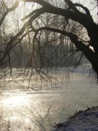 Atmosphere hivernale au parc chcydl - Eugenol