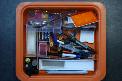 Bac compo rrxgfr - Eugenol