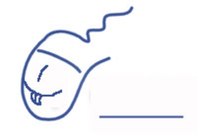 Badge1 p0ikjj - Eugenol