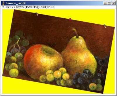 Banane rot1 zszlzl - Eugenol