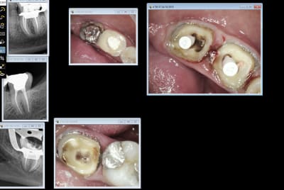 Besc dg6mdf - Eugenol