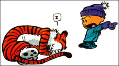 Calvin3 op2v23 - Eugenol