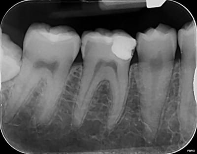 D7e6lzjrhogpjcigghn5 - Eugenol