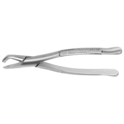 Davier 222 3eme molaire inferieure sr4tbb - Eugenol