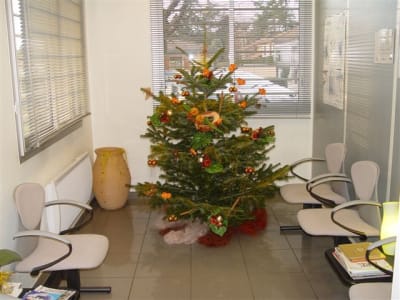 Deco noël 2007 j5d93c - Eugenol