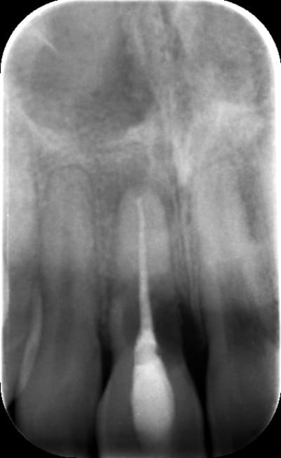 E4ncxkcg2hqzvuzcdhwj - Eugenol
