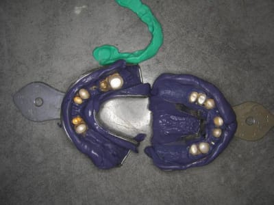Empr muqueuse dq13ja - Eugenol