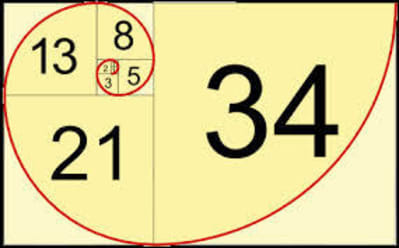 Fibonacci vfqcvd - Eugenol