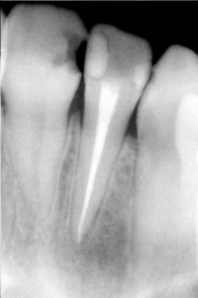 Final nsxi8c - Eugenol