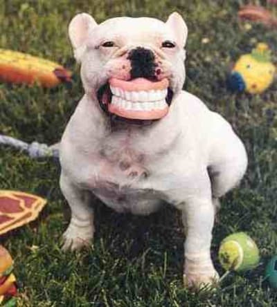 Iench dt2esk - Eugenol