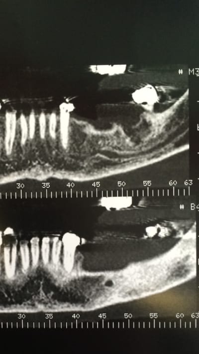 Image xpd7fm - Eugenol