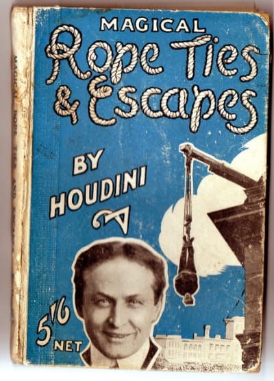 Img061 qtdtu6 - Eugenol