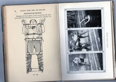 Img063 totxh9 - Eugenol