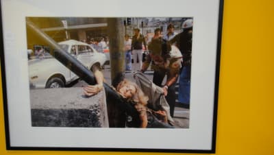 Italie 2011 015 ewewzb - Eugenol