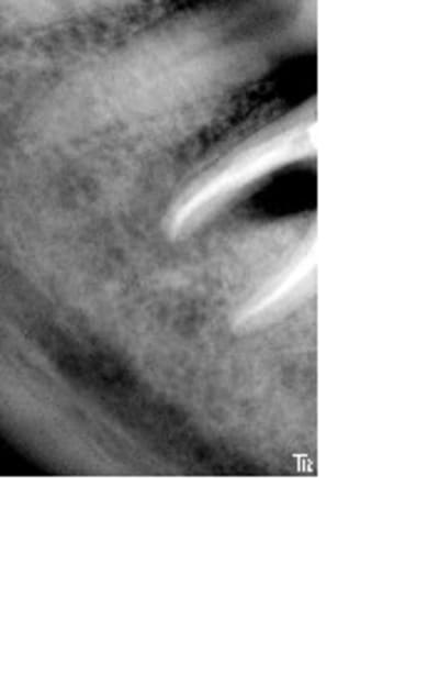 Jpostop1an1 qxw0w0 - Eugenol