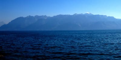 L man lyon oct2009 088 irf3g7 - Eugenol