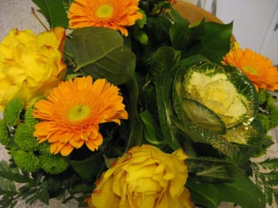 Le bouquet de krys j9v8gg - Eugenol