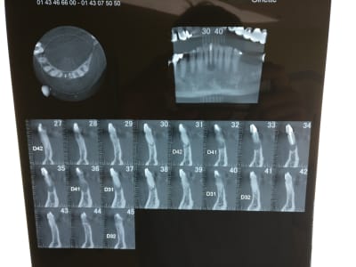 Lqaz66iiyfyvp9zzvw4w - Eugenol