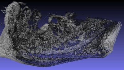 Mesh x9tbjr - Eugenol