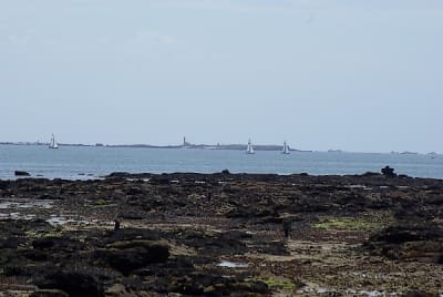 Mousterlin3 pj4xmk - Eugenol