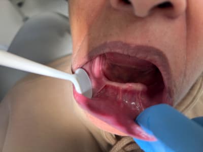 N3vxnpti819kpq4bg7872q0pmyxv - Eugenol