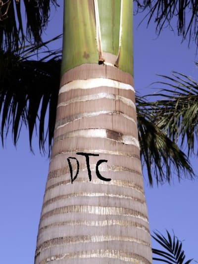 Narik gkuug9 - Eugenol