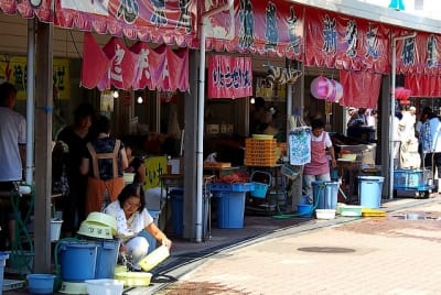 Ndch  24  oclesn - Eugenol