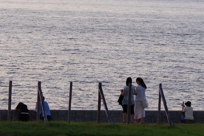 Ndch  32  e45ic2 - Eugenol