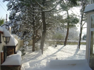 Neige en decembre 2010 002 vniamn - Eugenol