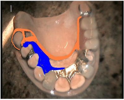 Nonol xsd0wp - Eugenol