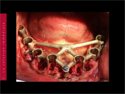 Oiw8nimujjwx4jgcs5ay628vzhgr - Eugenol