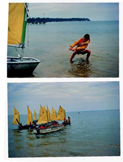 Optimiste 2 hliwwy - Eugenol