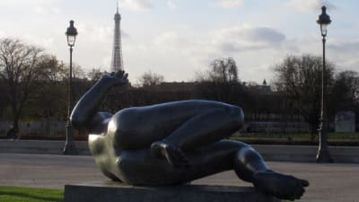 Paris dec 2009 018 yewsvg - Eugenol