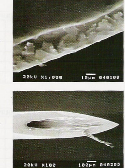 Photo 2 dkisjn - Eugenol