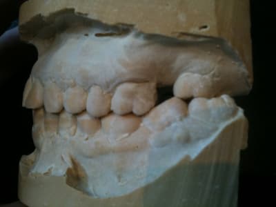 Photo profil 1 t4znng - Eugenol