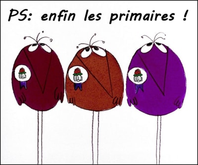 Primaires pixfet - Eugenol