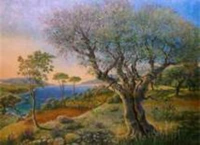 Provence par guy thian yci3gd - Eugenol