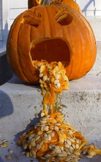 Pumpkin 1 atgpkz - Eugenol